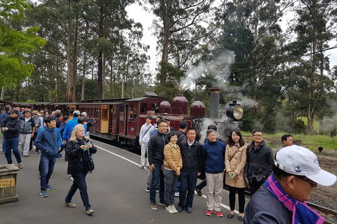 Day Tour Of Yarra Valley Puffing Billy And Rayners Orchard - Accommodation Kalgoorlie 9