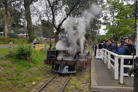 Day Tour Of Yarra Valley Puffing Billy And Rayners Orchard - Accommodation Kalgoorlie 43