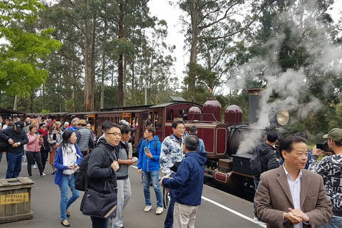 Day Tour Of Yarra Valley Puffing Billy And Rayners Orchard - Accommodation Kalgoorlie 12