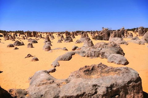 The Pinnacles, Yanchep National Park, Crystal Cave, And Moore River Tour - Accommodation Kalgoorlie 3