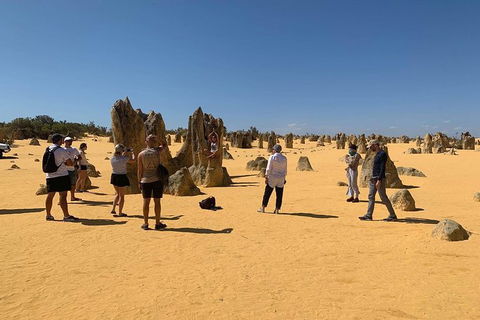 The Pinnacles, Yanchep National Park, Crystal Cave, And Moore River Tour - Accommodation Kalgoorlie 5