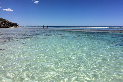 The Pinnacles, Yanchep National Park, Crystal Cave, And Moore River Tour - Accommodation Kalgoorlie 1