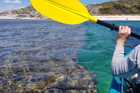 Rottnest Glass Bottom Kayaking Tour - Accommodation Kalgoorlie 3