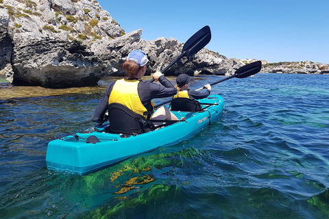 Rottnest Glass Bottom Kayaking Tour - Accommodation Kalgoorlie 4