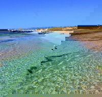 Rottnest Island Bayseeker Day Trip from Perth - Accommodation Kalgoorlie