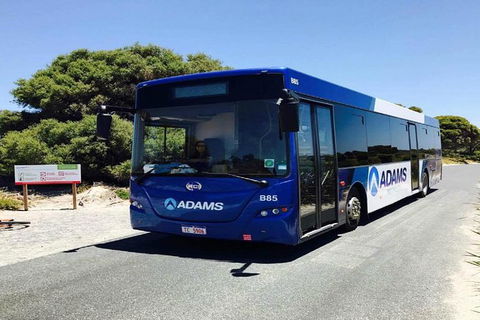 Rottnest Island Bayseeker Day Trip From Perth - Accommodation Kalgoorlie 4