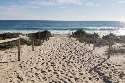 Very Best Of Perth Tour - Wildlife Park & City Highlights Tour - Accommodation Kalgoorlie 9