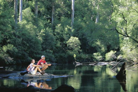 4 Day Tour: Albany, Margaret River, Valley Of The Giants TreeTop Walk From Perth - Accommodation Kalgoorlie 7