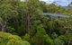 4 Day Tour: Albany, Margaret River, Valley Of The Giants TreeTop Walk From Perth - thumb 3