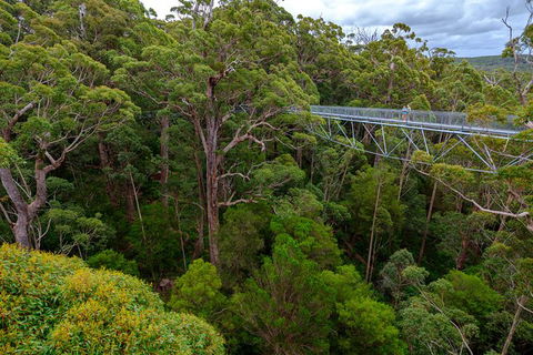 4 Day Tour: Albany, Margaret River, Valley Of The Giants TreeTop Walk From Perth - Accommodation Kalgoorlie 3