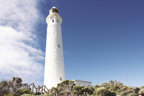 4 Day Tour: Albany, Margaret River, Valley Of The Giants TreeTop Walk From Perth - Accommodation Kalgoorlie 2
