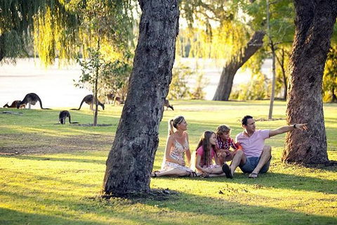Full-Day Pinnacles Desert And Yanchep National Park Tour From Perth - Accommodation Kalgoorlie 1