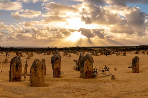 Full-Day Pinnacles Desert And Yanchep National Park Tour From Perth - Accommodation Kalgoorlie 4