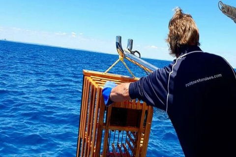 Rottnest Island Wild Seafood Package With Round Trip Ferry From Perth - Accommodation Kalgoorlie 8
