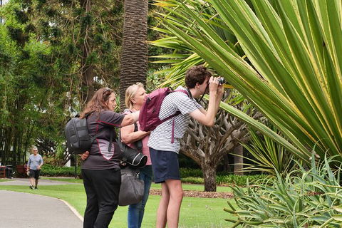 Perth City, Laneways And Hidden Gems, Photographic Walk - Accommodation Kalgoorlie 3