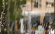 Perth City, Laneways And Hidden Gems, Photographic Walk - thumb 4