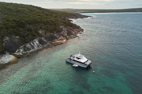 Bremer Canyon Killer Whale (Orca) Expedition - Accommodation Kalgoorlie 6