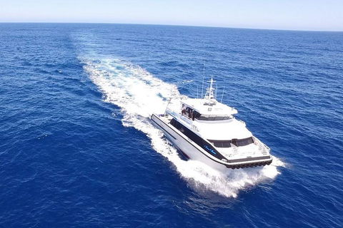 Bremer Canyon Killer Whale (Orca) Expedition - Accommodation Kalgoorlie 1