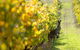 Margaret River 3 Day Escape - thumb 5