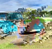Half Day VW Kombi Food and Wine tour - Accommodation Kalgoorlie