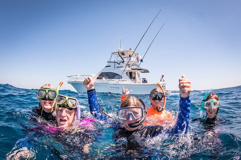 Life On Ningaloo Swimming Tour In Exmouth - Accommodation Kalgoorlie 4