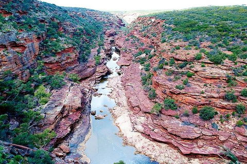 Pink Lake - Hutt Lagoon Kalbarri - Accommodation Kalgoorlie 3