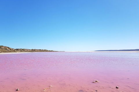 Pink Lake - Hutt Lagoon Kalbarri - Accommodation Kalgoorlie 4