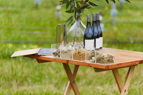 Organic Vineyard/Farm Tour - Accommodation Kalgoorlie 3