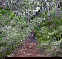 Guided Walks on the Cape to Cape - Skippy Rock - Accommodation Kalgoorlie