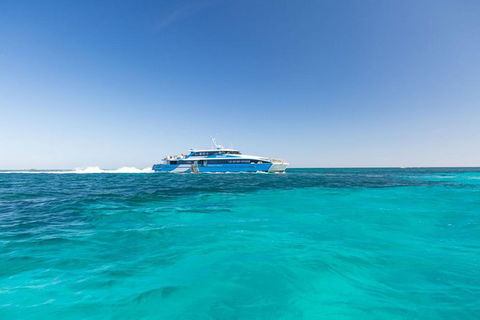 Rottnest Island Bike, Snorkel & Ferry Package From Perth - Accommodation Kalgoorlie 3