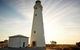 Rottnest Island Bike, Snorkel & Ferry Package From Perth - thumb 6