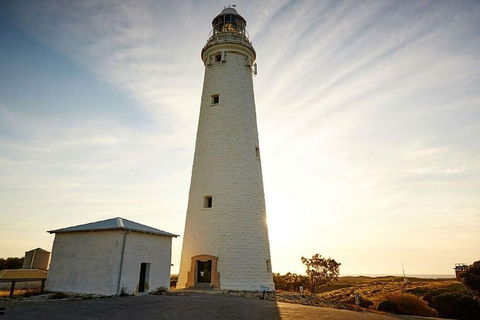 Rottnest Island Bike, Snorkel & Ferry Package From Perth - Accommodation Kalgoorlie 6
