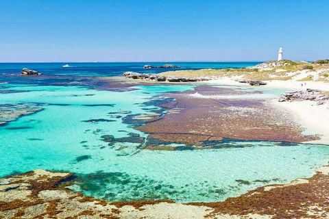 Rottnest Island Bike, Snorkel & Ferry Package From Perth - Accommodation Kalgoorlie 7
