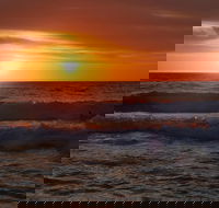 Australian animals Seascape and Sunset Photography Tour - Accommodation Kalgoorlie