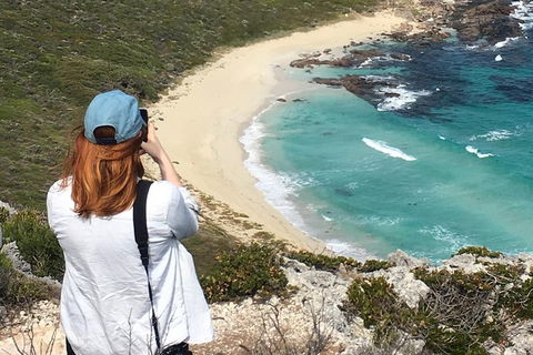 Private Wine Charter To The Swan Valley Or Margaret River - Accommodation Kalgoorlie 5