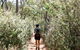 Kitty\'s Gorge Guided Hike - thumb 5