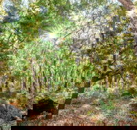 Kitty's Gorge Guided Hike - Accommodation Kalgoorlie