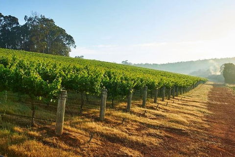 Botanical Gardens, Winery And Scenic Full Day Tour - Accommodation Kalgoorlie 2