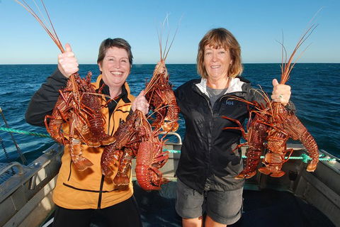 Abrolhos Islands 5 Day Tours - Accommodation Kalgoorlie 1