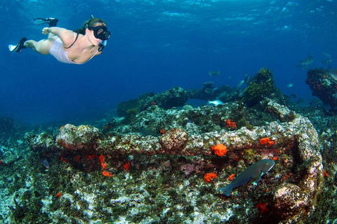 Abrolhos Islands 5 Day Tours - Accommodation Kalgoorlie 3