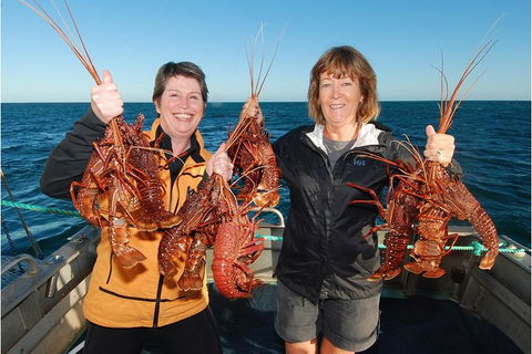Abrolhos Islands 5 Day Tours - Accommodation Kalgoorlie 0