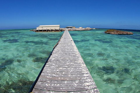 Abrolhos Islands 5 Day Tours - Accommodation Kalgoorlie 4