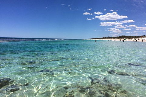 3-Day Shark Bay, Monkey Mia, Kalbarri West Coast Tour - Accommodation Kalgoorlie 8