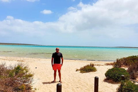 3-Day Shark Bay, Monkey Mia, Kalbarri West Coast Tour - Accommodation Kalgoorlie 2
