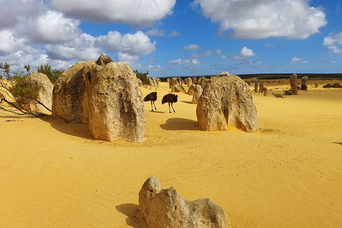 3-Day Shark Bay, Monkey Mia, Kalbarri West Coast Tour - Accommodation Kalgoorlie 4