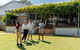 The Non-Touristy Swan Valley Private Day Trip & Wine Tastings - thumb 5