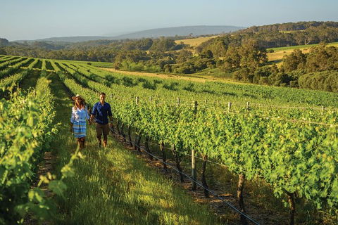 6 Days Perth All-Inclusive Touring Package - Accommodation Kalgoorlie 5