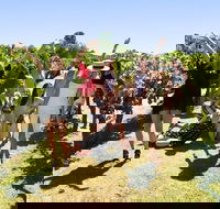 Wine Beer  Chocolate Tour - Accommodation Kalgoorlie