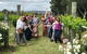 Wine, Beer & Chocolate Tour - thumb 2