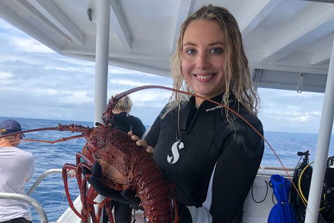 Become A PADI Open Water Diver In 3 Days In Perth - Accommodation Kalgoorlie 5